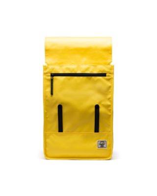 survey yellow open